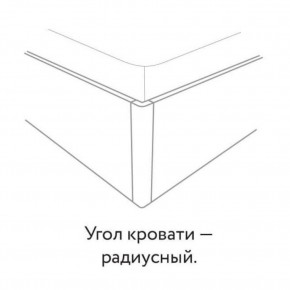 НАОМИ Кровать БЕЗ основания 1600х2000 в Еманжелинске - emanzhelinsk.mebel24.online | фото 3