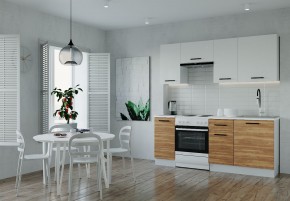 Кухонный гарнитур Лада 2000 (Стол. 38мм) в Еманжелинске - emanzhelinsk.mebel24.online | фото