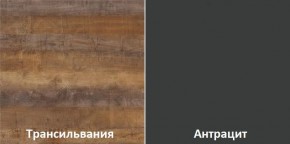 Кухонный гарнитур угловой Трансильвания 2600х1600 мм (Стол. 26 мм) в Еманжелинске - emanzhelinsk.mebel24.online | фото 3