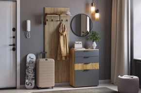 МЕБЕЛЬСОН К3 Прихожая (графит) в Еманжелинске - emanzhelinsk.mebel24.online | фото