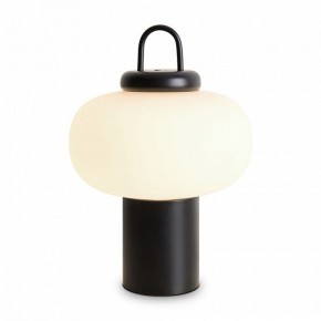 Настольная лампа декоративная Freya Take FR6175TL-L10B в Еманжелинске - emanzhelinsk.mebel24.online | фото