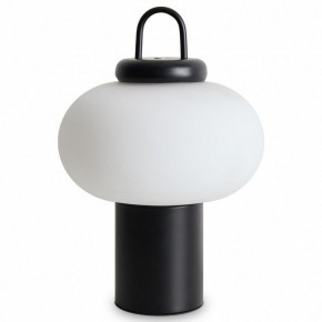 Настольная лампа декоративная Freya Take FR6175TL-L10B в Еманжелинске - emanzhelinsk.mebel24.online | фото 2