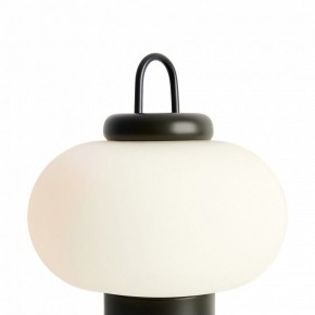 Настольная лампа декоративная Freya Take FR6175TL-L10B в Еманжелинске - emanzhelinsk.mebel24.online | фото 5