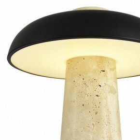 Настольная лампа декоративная ST-Luce Earthy SL1194.424.01 в Еманжелинске - emanzhelinsk.mebel24.online | фото 6