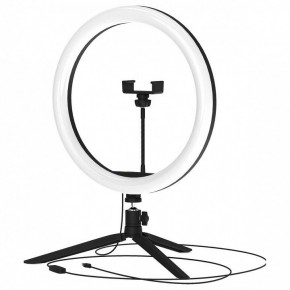Настольная лампа кольцевая Gauss Ring Light RL003 в Еманжелинске - emanzhelinsk.mebel24.online | фото