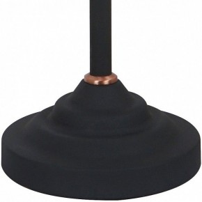 Настольная лампа офисная Arte Lamp Braccio A2054LT-1BK в Еманжелинске - emanzhelinsk.mebel24.online | фото 4