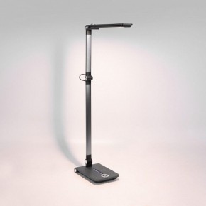Настольная лампа офисная Elektrostandard Great a065290 в Еманжелинске - emanzhelinsk.mebel24.online | фото 3