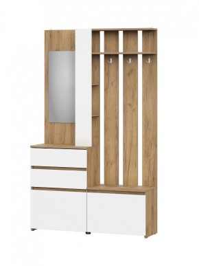 НЕКСТ 1 Вешалка с зеркалом + Шкаф 2-х ств. с ящиками в Еманжелинске - emanzhelinsk.mebel24.online | фото 4