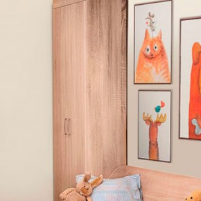 НИКА Н8 Шкаф для одежды и белья в Еманжелинске - emanzhelinsk.mebel24.online | фото 4