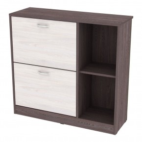 Обувница W29 (ЯАТ-ЯАС) в Еманжелинске - emanzhelinsk.mebel24.online | фото