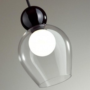 Подвесной светильник Odeon Light Blacky 2 5023/1 в Еманжелинске - emanzhelinsk.mebel24.online | фото 6