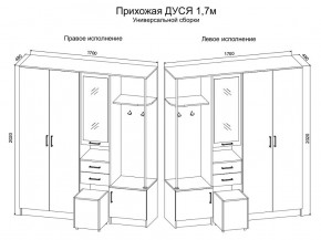 Прихожая Дуся 1.7 УНИ (Дуб Бунратти/Белый Бриллиант) в Еманжелинске - emanzhelinsk.mebel24.online | фото 2