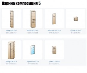Прихожая Карина (модульная) в Еманжелинске - emanzhelinsk.mebel24.online | фото 2