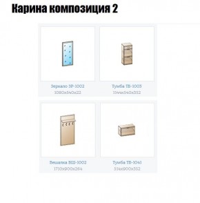 Прихожая Карина (модульная) в Еманжелинске - emanzhelinsk.mebel24.online | фото 6