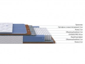 PROxSON Матрас Active Duo M/F (Ткань Трикотаж Эко) 160x200 в Еманжелинске - emanzhelinsk.mebel24.online | фото 2
