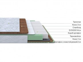 PROxSON Матрас Green Duo M/F (Tricotage Dream) 120x190 в Еманжелинске - emanzhelinsk.mebel24.online | фото 2