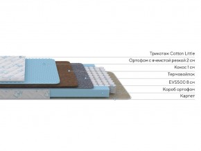 PROxSON Матрас Совенок (Print) 60x120 в Еманжелинске - emanzhelinsk.mebel24.online | фото 2