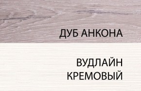 Шкаф 1DZ, OLIVIA, цвет вудлайн крем/дуб анкона в Еманжелинске - emanzhelinsk.mebel24.online | фото 3