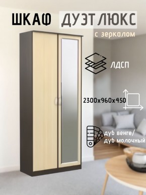 Шкаф 2-х створчатый Дуэт Люкс с зеркалом в Еманжелинске - emanzhelinsk.mebel24.online | фото 1