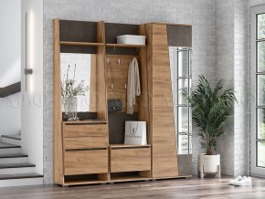 СОРЕНТО Шкаф 2-х створчатый в Еманжелинске - emanzhelinsk.mebel24.online | фото 3