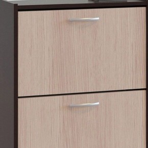 Шкаф для обуви ТО-24 в Еманжелинске - emanzhelinsk.mebel24.online | фото 4