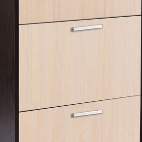 Шкаф для обуви УК-4 в Еманжелинске - emanzhelinsk.mebel24.online | фото 2