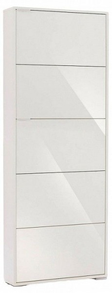 Шкаф для обуви Viva-5S в Еманжелинске - emanzhelinsk.mebel24.online | фото