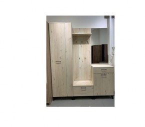 Шкаф для одежды 2-х дверный София 1 в Еманжелинске - emanzhelinsk.mebel24.online | фото 6