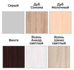 Шкаф-купе ХИТ 22-18-888 (620) в Еманжелинске - emanzhelinsk.mebel24.online | фото 3