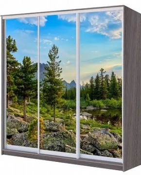 Шкаф-купе ХИТ 22-4-18/2-777 ПРИРОДА в Еманжелинске - emanzhelinsk.mebel24.online | фото