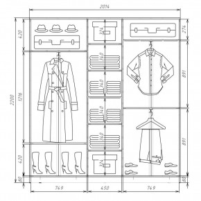 Шкаф-купе ХИТ 22-4-20-111 (420) в Еманжелинске - emanzhelinsk.mebel24.online | фото 2