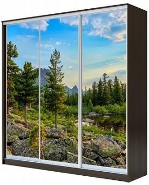 Шкаф-купе ХИТ 23-20-777 ПРИРОДА в Еманжелинске - emanzhelinsk.mebel24.online | фото