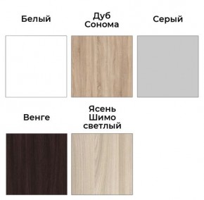 Шкаф-купе ХИТ 23-24/2-7777 (620) в Еманжелинске - emanzhelinsk.mebel24.online | фото 2
