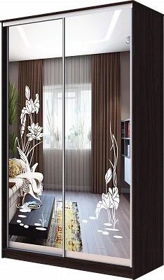 Шкаф-купе ХИТ 23-4-12-66 ЦАПЛИ в Еманжелинске - emanzhelinsk.mebel24.online | фото