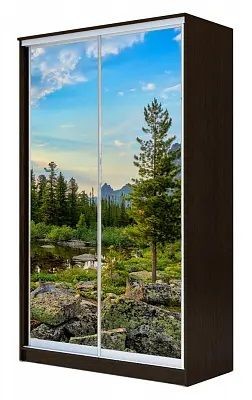 Шкаф-купе ХИТ 23-4-15-77 ПРИРОДА в Еманжелинске - emanzhelinsk.mebel24.online | фото