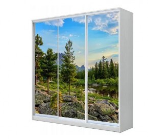 Шкаф-купе ХИТ 23-4-20-777 (420) в Еманжелинске - emanzhelinsk.mebel24.online | фото