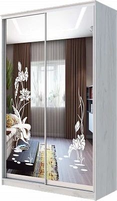 Шкаф-купе ХИТ 24-14-66 ЦАПЛИ в Еманжелинске - emanzhelinsk.mebel24.online | фото