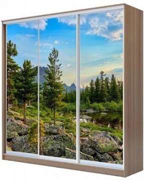 Шкаф-купе ХИТ 24-18-777 ПРИРОДА в Еманжелинске - emanzhelinsk.mebel24.online | фото