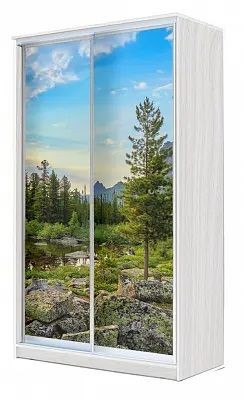 Шкаф-купе ХИТ 24-4-15-77 ПРИРОДА в Еманжелинске - emanzhelinsk.mebel24.online | фото