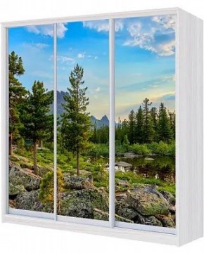 Шкаф-купе ХИТ 24-4-18-777 ПРИРОДА в Еманжелинске - emanzhelinsk.mebel24.online | фото