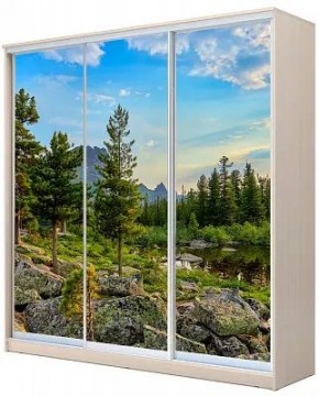 Шкаф-купе ХИТ 24-4-20-777 ПРИРОДА в Еманжелинске - emanzhelinsk.mebel24.online | фото