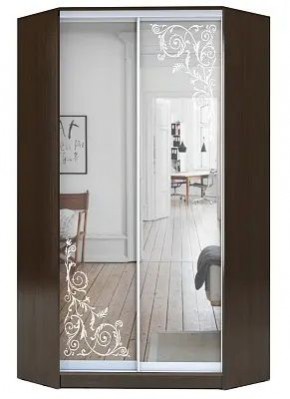 Шкаф-купе ХИТ-У-R-22-64-66 ОРНАМЕНТ в Еманжелинске - emanzhelinsk.mebel24.online | фото