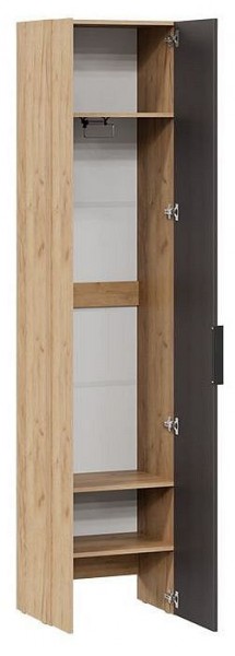 Шкаф платяной Асти в Еманжелинске - emanzhelinsk.mebel24.online | фото 2
