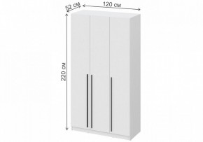 Шкаф платяной Бирма ШК-1200 в Еманжелинске - emanzhelinsk.mebel24.online | фото 4