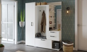 Шкаф платяной Эрика в Еманжелинске - emanzhelinsk.mebel24.online | фото 3