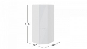 Шкаф платяной Глосс СМ-319.07.311 в Еманжелинске - emanzhelinsk.mebel24.online | фото 3