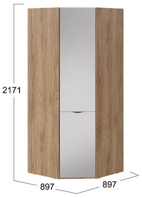 Шкаф платяной Глосс СМ-319.07.312 в Еманжелинске - emanzhelinsk.mebel24.online | фото 4