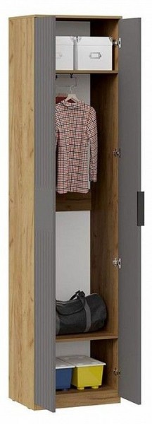 Шкаф платяной Хилтон Исп. 2 в Еманжелинске - emanzhelinsk.mebel24.online | фото 3