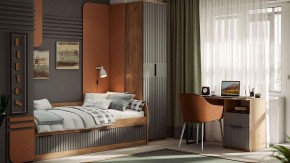 Шкаф платяной Хилтон Исп. 2 в Еманжелинске - emanzhelinsk.mebel24.online | фото 5