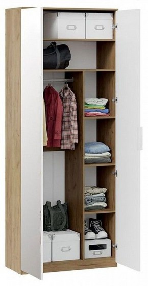 Шкаф платяной Хилтон Исп. 2.1 в Еманжелинске - emanzhelinsk.mebel24.online | фото 4